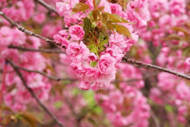温州龙湾区1线下个人借款平台一站式服务，轻松解决资金难题