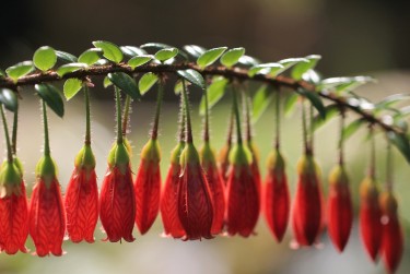 温州龙湾区1零用贷短借：轻松解决临时资金需求
