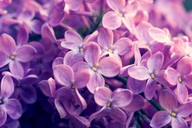 温州龙湾区1企业急用钱贷款攻略：快速融资解燃眉之急